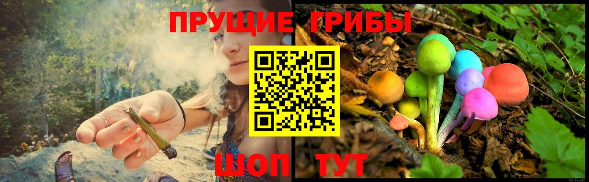 Вольск  Галлюциногенные грибы GOLDEN TEACHER  Вход с VPN 