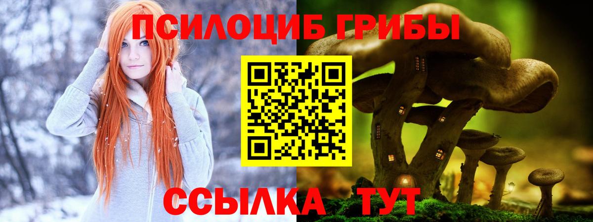 Галлюциногенные грибы MAGIC MUSHROOMS Вольск